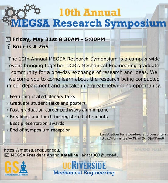 MEGSA Flyer